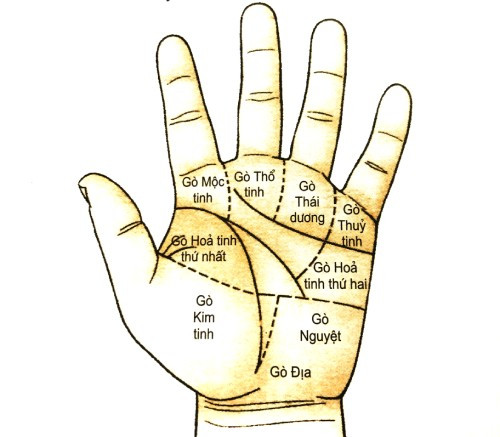Gò kim tinh có vân hình lưới sâu và đậm. Gò kim tinh nằm ở đốt xương thứ 3 của ngón tay cái. Gò này đại diện cho sự nhiệt tình của cuộc sống. Nếu trên gò kim tinh có vân hình lưới rõ nét, sâu, đậm thì chủ nhân của tướng tay này thường phải tự lực cánh sinh, hiếm khi được người khác giúp đỡ. 