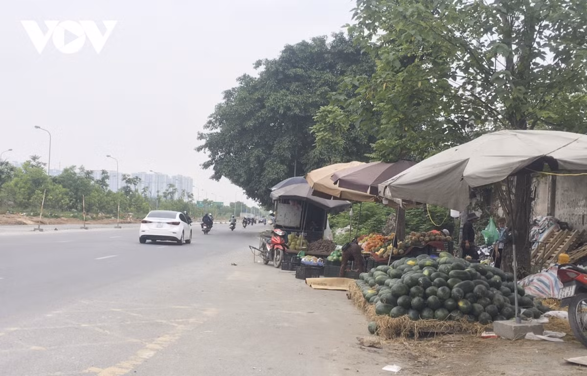 Theo ghi nhận của PV, trên trục đường đại lộ Thăng Long, hàng loạt hộ kinh doanh đã tận dụng vỉa hè làm nơi bày bán các mặt hàng như trái cây, cá cảnh, vật dụng cá nhân mũ kính…