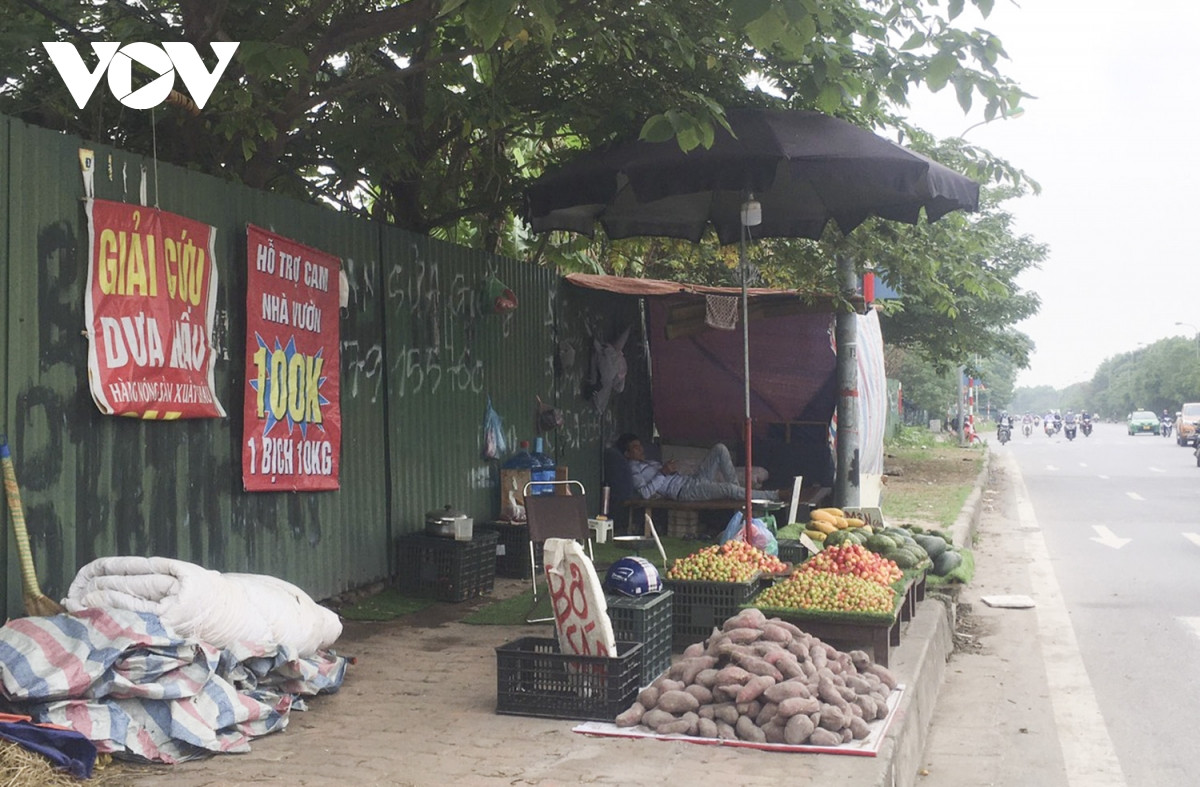Một số người treo biển lấy cớ giải cứu nông sản để bày bán hàng hóa trên vỉa hè.