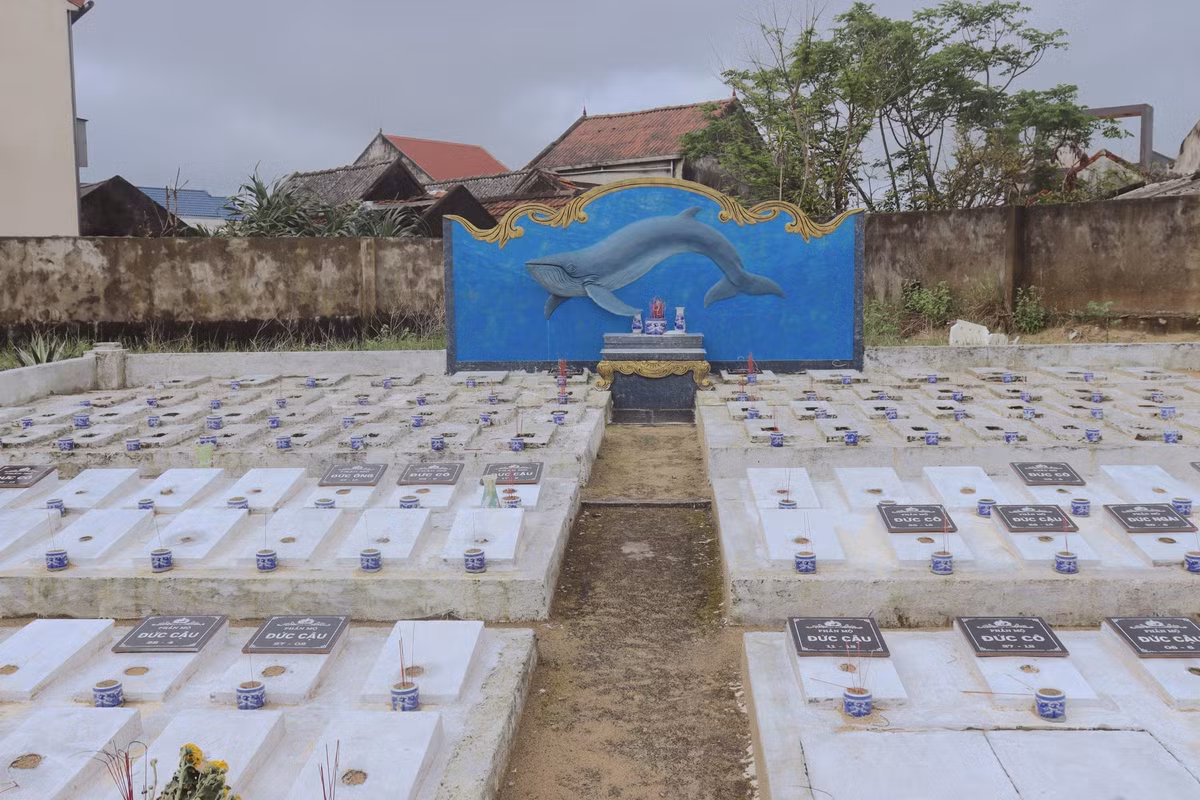 Xem cá Ngư Ông như một vị “thần” bảo vệ, nâng đỡ ngư dân trước sóng gió, uy lực của đại dương, vì thế việc chôn cất cá, thờ cúng được thực hiện giống như một con người. Đều đặn hàng tháng cứ đến ngày Rằm hoặc cuối tháng đều có người lên miếu quét dọn, hương khói đầy đủ cho các Ngài.