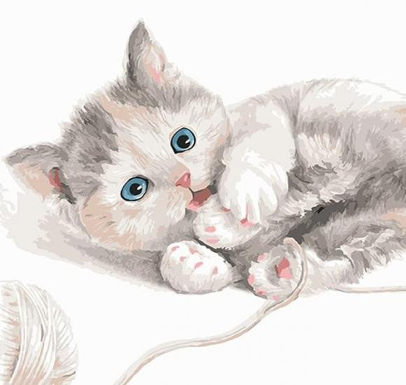 Con giap cuc nhay ben trong kinh doanh, lanh loi hon nguoi, hau van vien man