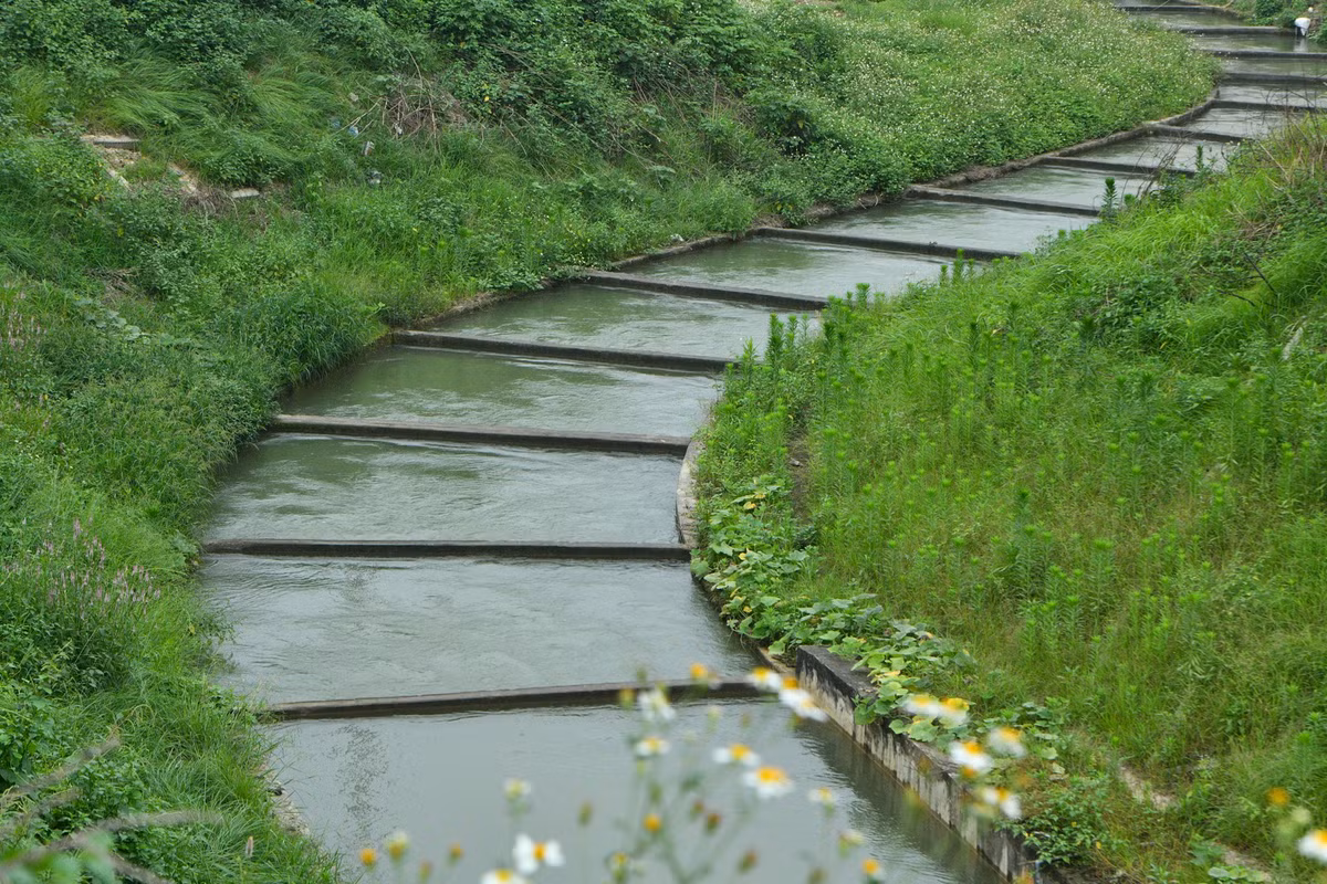Trong giai đoạn 2 dự kiến hoàn thành vào năm 2030, Nhà máy nước mặt sông Hồng có thể hoạt động với công suất 450.000 m3/ngày đêm, đảm bảo cung cấp nước cho khu vực phía nam sông Hồng bao gồm: Đô thị trung tâm Hà Nội (các quận nội thành) và khu vực chưa có hệ thống cấp nước thuộc phía tây đường vành đai 3, phía bắc đường quốc lộ 32 thuộc quận Bắc Từ Liêm và huyện Đan Phượng.