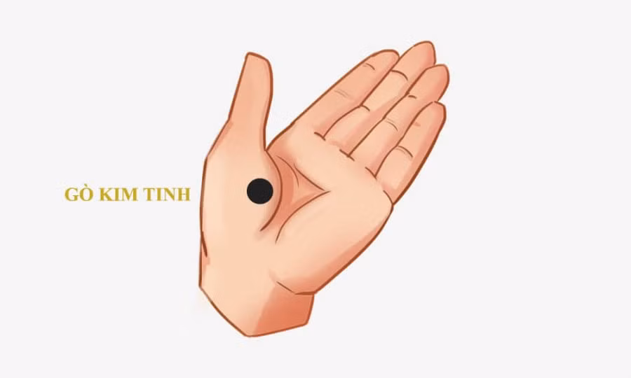 Một mặt là do người này thường không tin tưởng người khác, một mặt là do người khác cũng không sẵn lòng giúp đỡ họ.