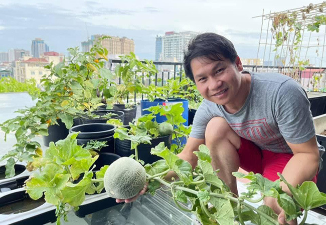 Sao Việt hôm nay 30/6: Trọng Tấn thu hoạch dưa lưới trên sân thượng vườn nhà. Nam ca sĩ xem đây là "thành quả" đáng tự hào trong những ngày nghỉ hát vì dịch.
