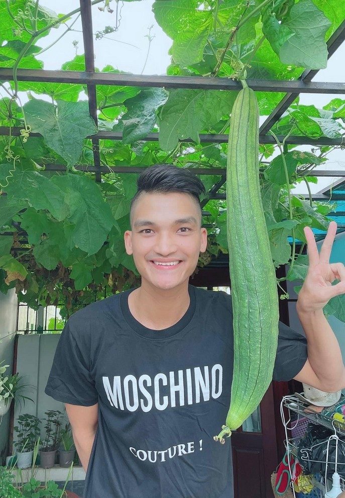 Mạc Văn Khoa hào hứng vì vườn mướp nhiều quả sau thời gian chăm sóc.