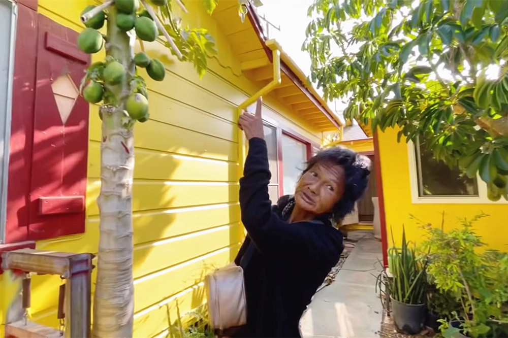 Ca si Kim Ngan duoc danh hai Thuy Nga dua ve noi o moi-Hinh-2