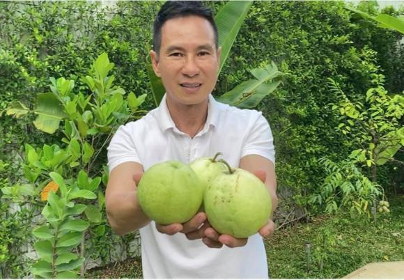 Vợ chồng ca sĩ Lý Hải khoe ảnh thu hoạch cây trái vườn nhà.