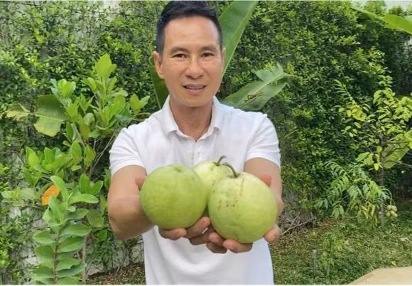 Vợ chồng ca sĩ Lý Hải khoe ảnh thu hoạch cây trái vườn nhà.