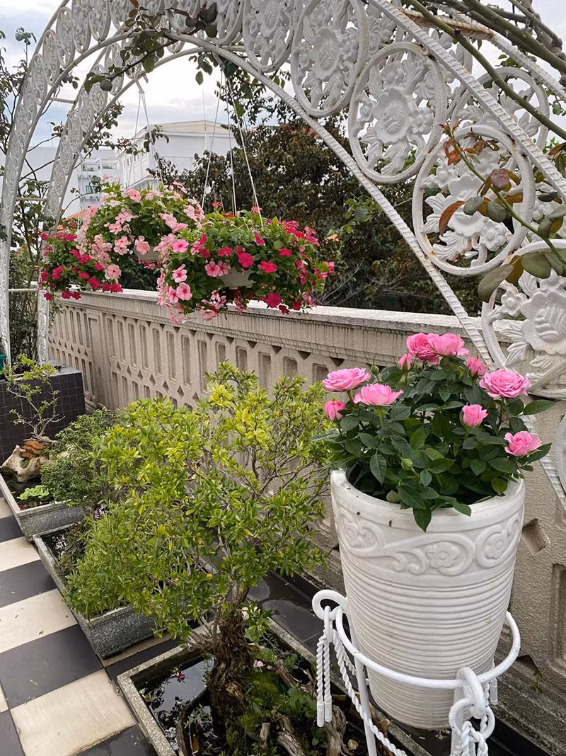 Sao việt hôm nay 10/7: Giáng My chia sẻ đây là tuần cô thực hiện chế độ detox cơ thể và tâm trí nên không bận tâm chuyện mua thực phẩm dự trữ, chỉ sợ thiếu hoa tươi trong nhà.