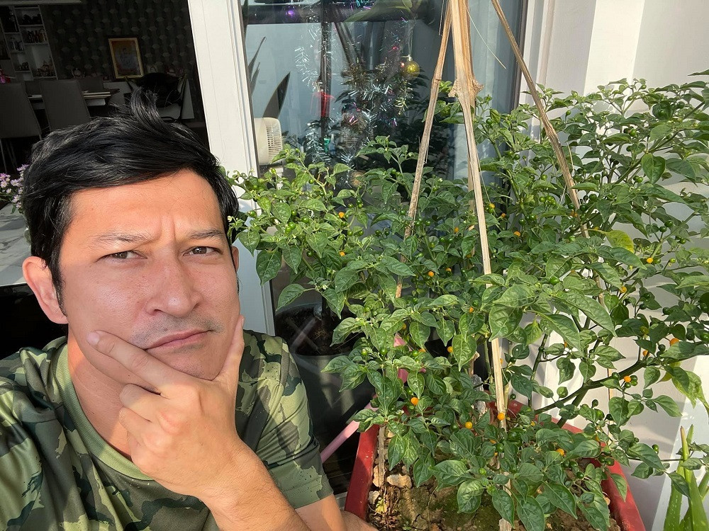 Huy Khánh trồng ớt charapita - loại ớt đắt nhất thế giới, làm kiểng. Cây ra quả, anh ngâm muối dùng dần.