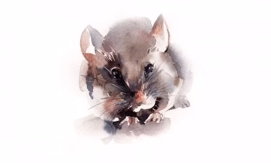 Thang 5 duong: 3 con giap trung so doc dac tien roi trung dau