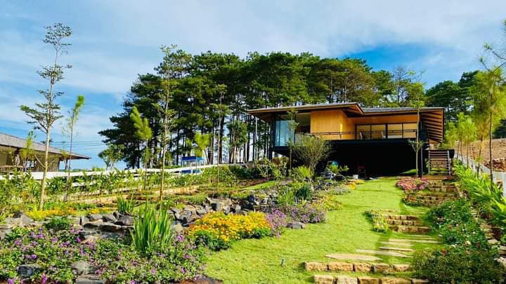 Diem Huong khoe tau nha moi tren doi tuyet dep-Hinh-2