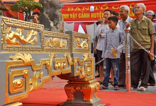 Sanh co trong trong chau dat 5 cay vang, chu thue nguoi canh giu-Hinh-6