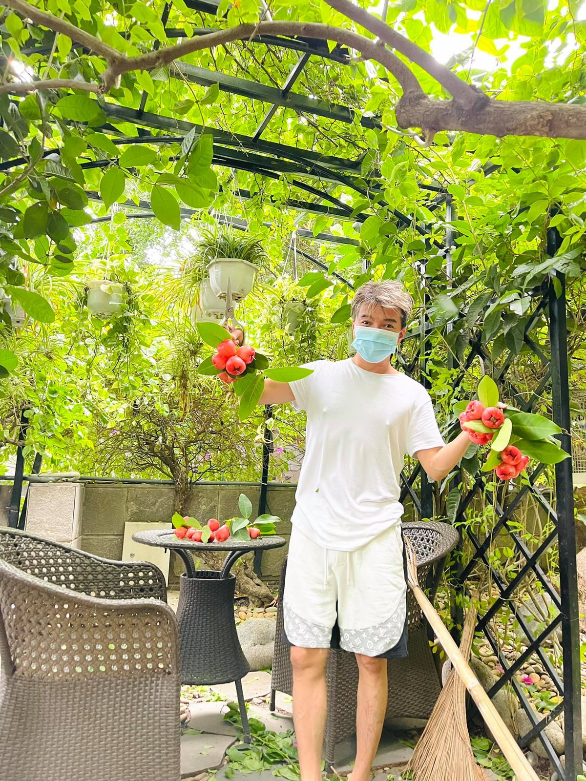 Đàm Vĩnh Hưng chăm hoa, hái quả tại vườn nhà.