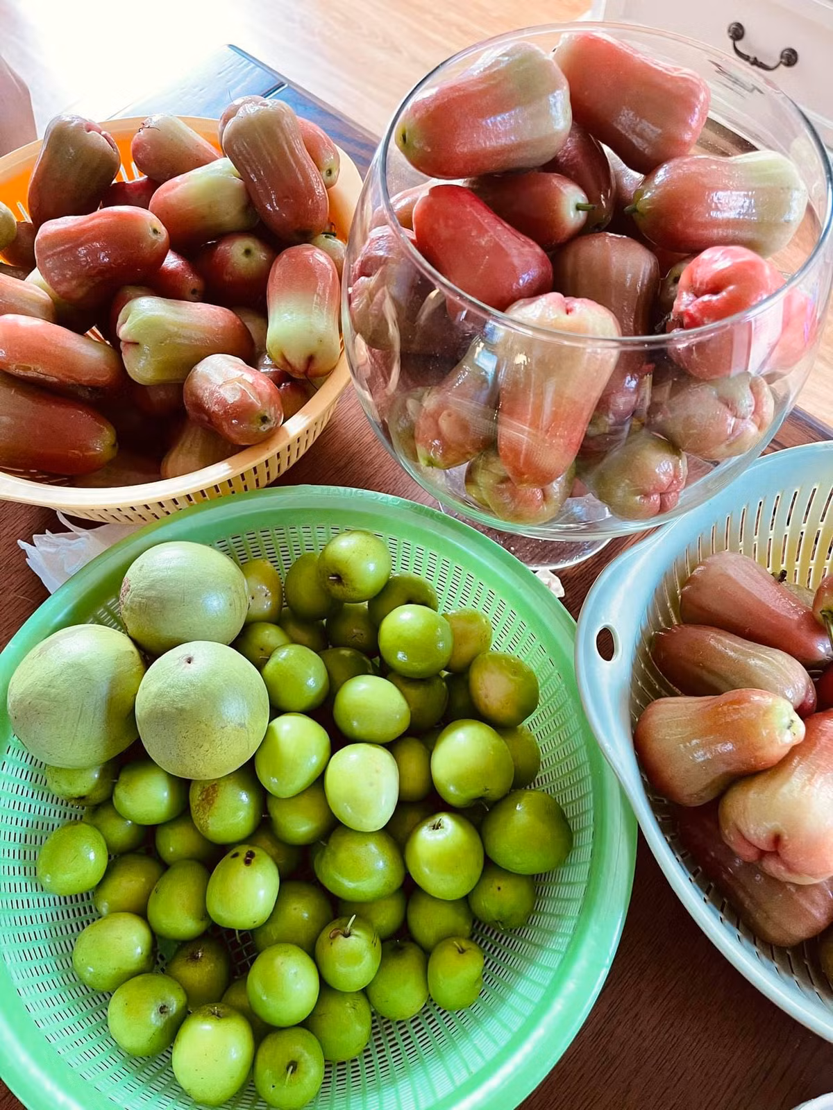 Cuối tuần, Minh Triệu về thu hoạch hoa quả vườn nhà. 