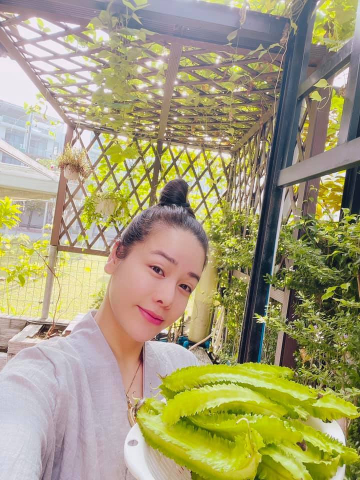 Sao Việt Nhật Kim Anh thu hoạch mướp hương và đậu rồng.