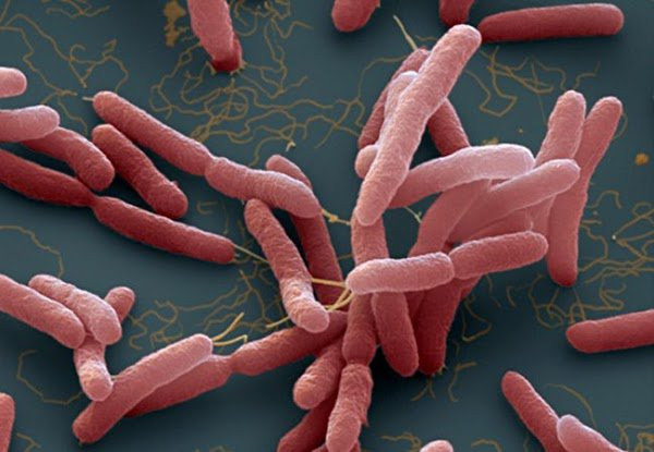 Vi sao khong duoc giat quan nho bang may, tha vut luon-Hinh-2