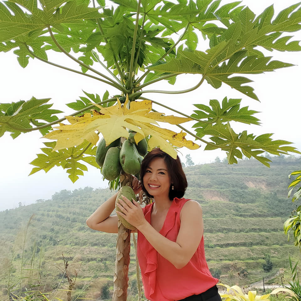 Hồ Lệ Thu tạo dáng hài hước bên cây đu đủ.