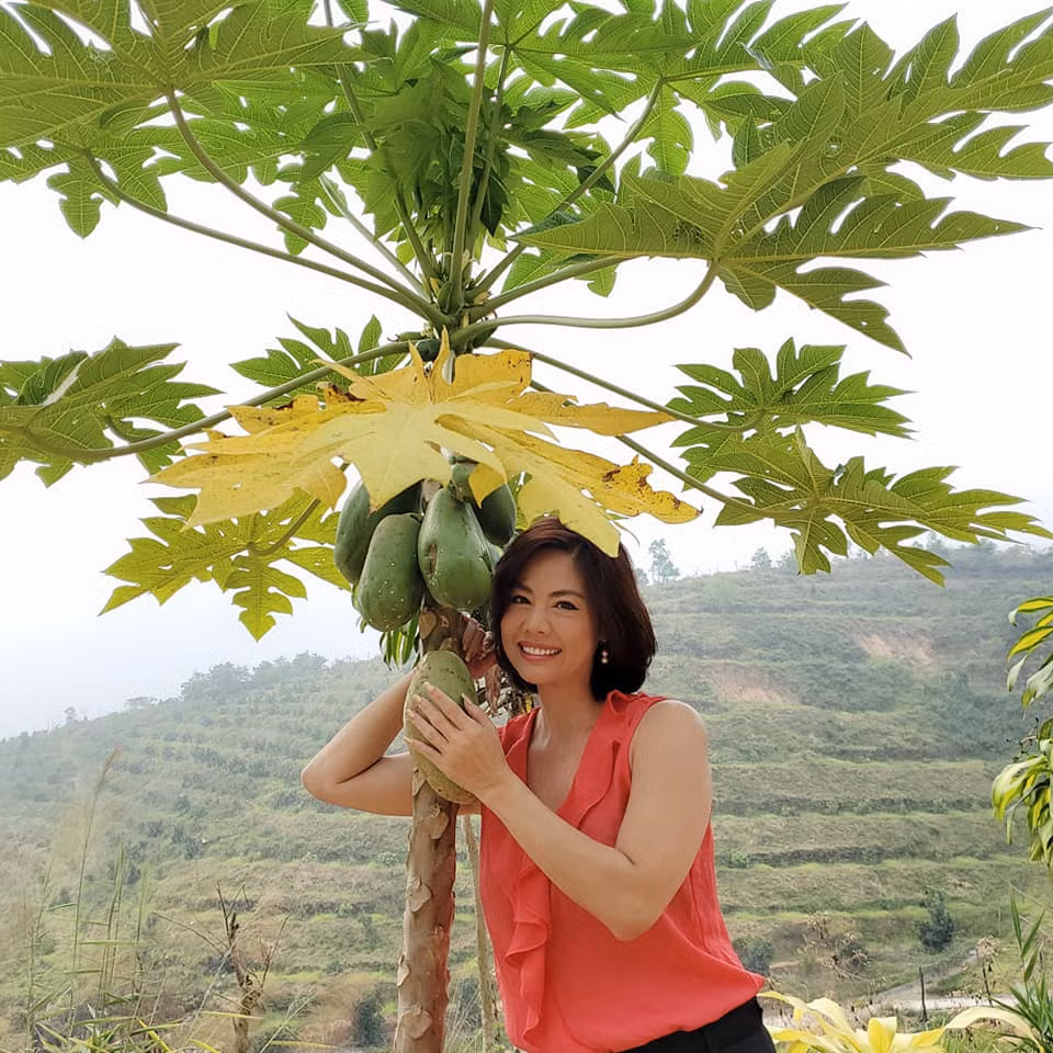 Hồ Lệ Thu tạo dáng hài hước bên cây đu đủ.