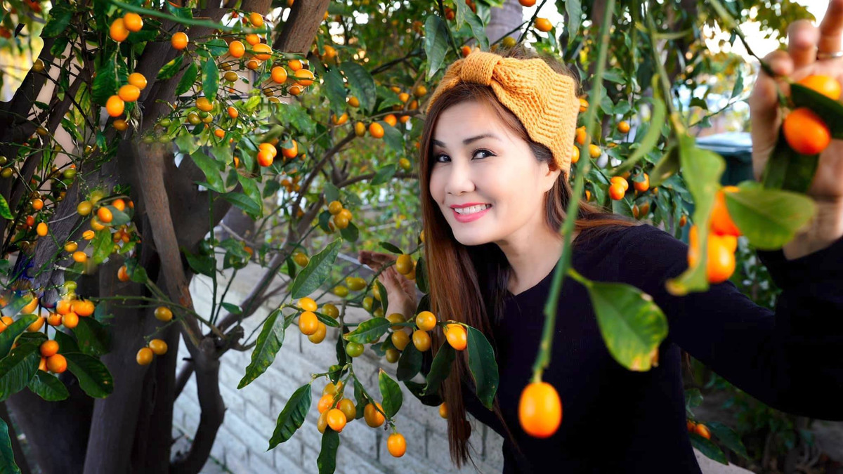 Hạ Vy khoe vườn nhà sai quả.