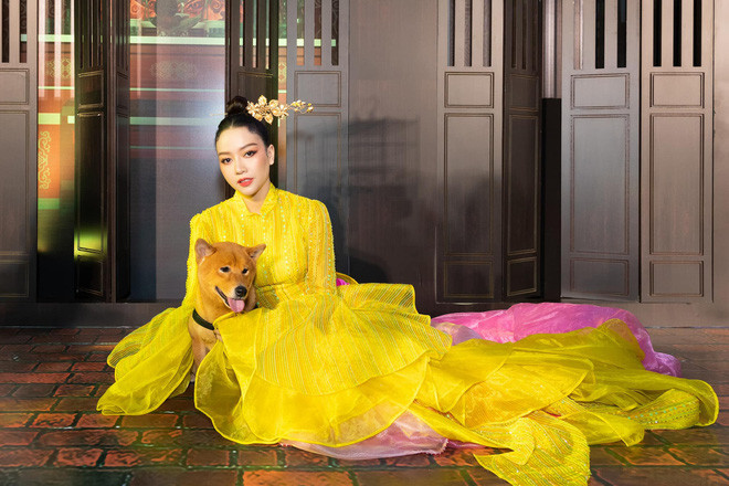 Cau Vang gay tranh cai, Bang Di noi 1 cau cham dau vao lua-Hinh-3