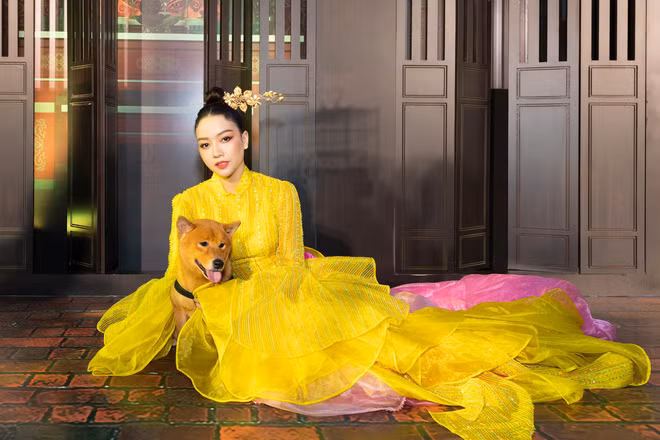 Cau Vang gay tranh cai, Bang Di noi 1 cau cham dau vao lua-Hinh-3