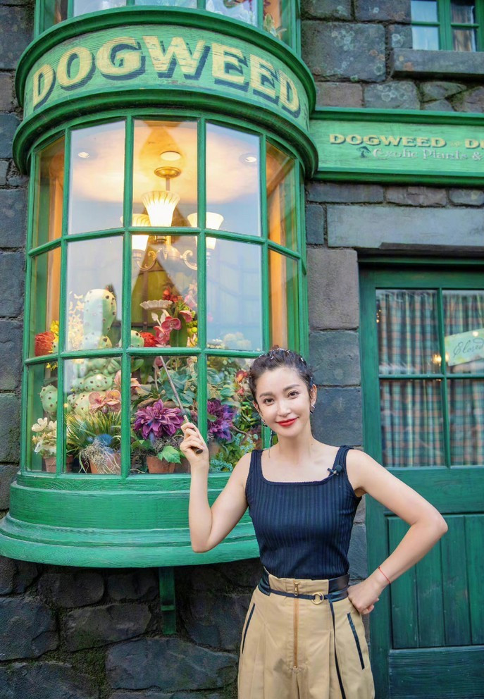 Theo Sina, Lý Băng Băng vừa có chuyến thăm quan Disneyland cùng gia đình.