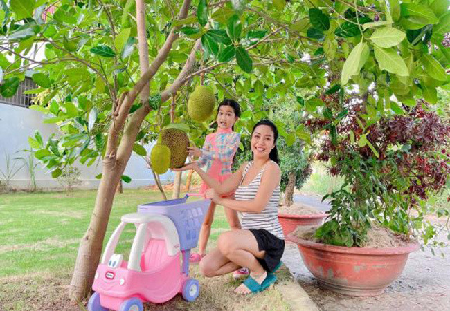 Ốc Thanh Vân cùng con gái hào hứng thu hoạch mít vườn nhà.