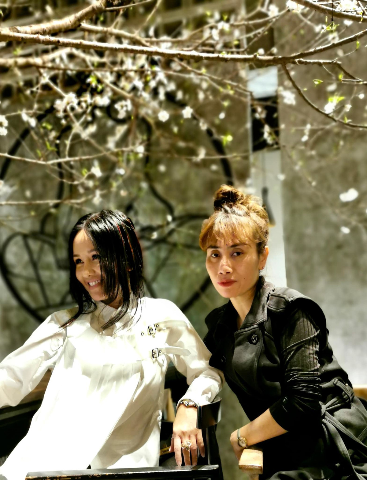 Diva Hồng Nhung và "chút sinh khí mới cho mùa xuân".