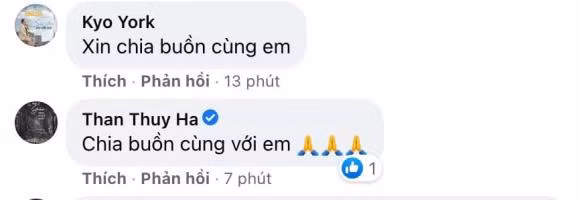 Phi Thanh Van xot xa me ruot qua doi nhung khong the o ben-Hinh-3