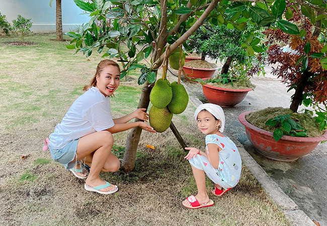 Ốc Thanh Vân cùng con gái hào hứng khi thu hoạch mít nhà trồng được.