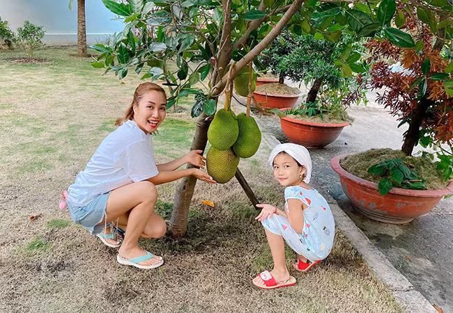 Ốc Thanh Vân cùng con gái hào hứng khi thu hoạch mít nhà trồng được.