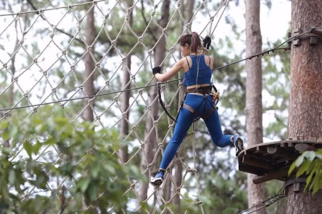 Cũng từ đây, Đỗ Mỹ Linh bị lôi lại câu chuyện thời tham dự chương trình Cuộc Đua Kỳ Thú. Cô bị "ném đá" là hoa hậu mà ăn nói kiểu lấc cấc, chợ búa, thái độ đỏng đảnh, tiểu thư.