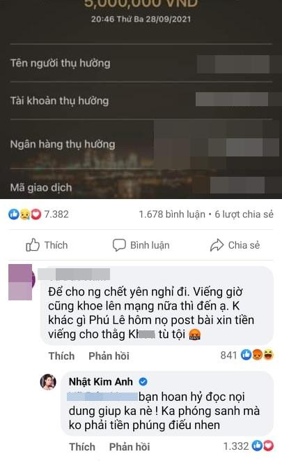 Nhat Kim Anh bi chi trich 