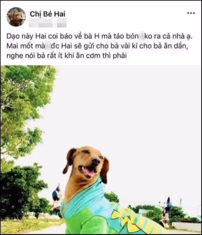 Xuan Nghi xin loi sau bai dang ca khia 