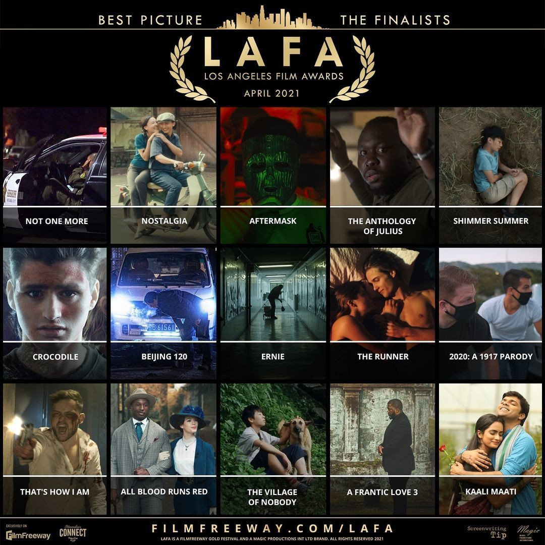 Con trai NSND Hong Van thang giai Dao dien tai My