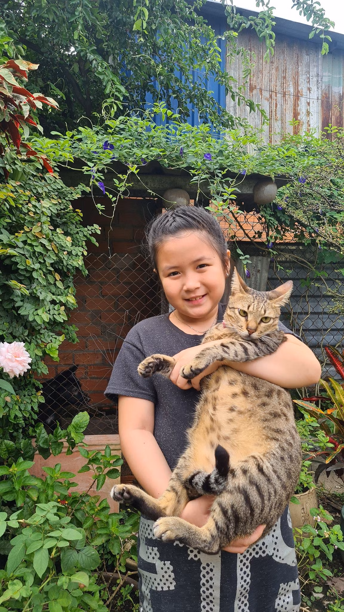 Bé Ngân Chi chơi với mèo.
