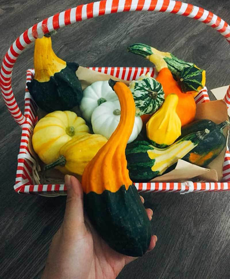 Loai bi baby dep mat, mua ve choi 3 thang roi dem nau an-Hinh-3