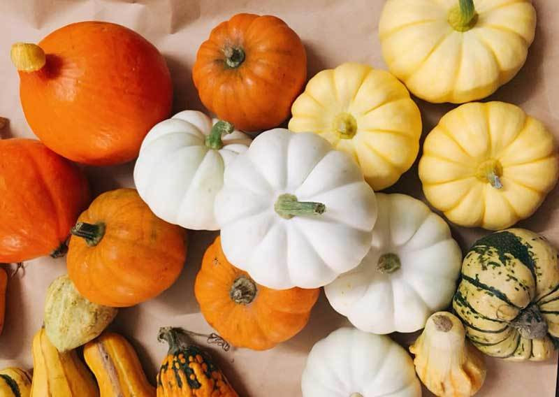 Loai bi baby dep mat, mua ve choi 3 thang roi dem nau an-Hinh-4