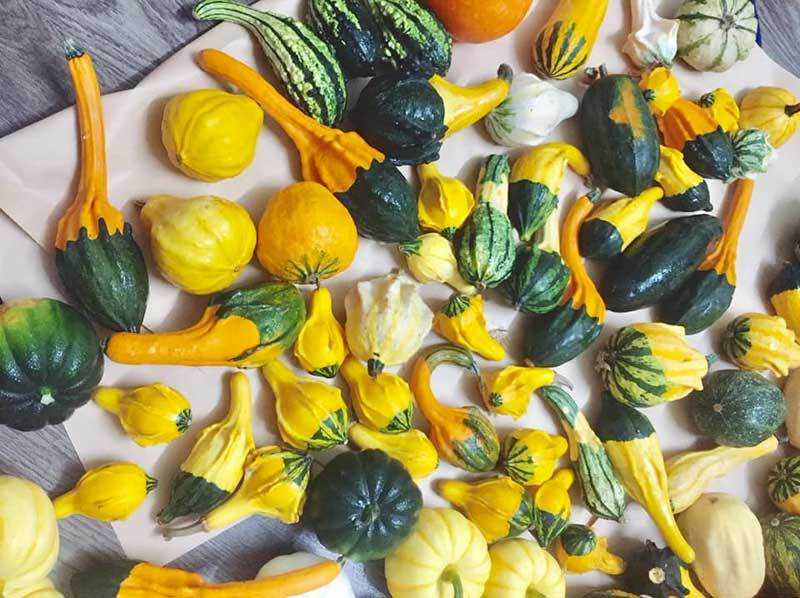 Loai bi baby dep mat, mua ve choi 3 thang roi dem nau an