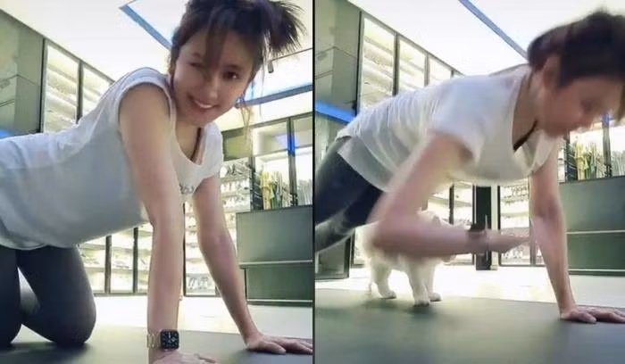 Trong suốt những ngày ở nhà nghỉ dịch vừa qua, Hari Won thường xuyên được ông xã Trấn Thành nấu nhiều món ăn ngon "vỗ béo", do đó cô vô cùng lo lắng về vấn đề cân nặng của mình. Để không bị tăng cân, nữ ca sĩ liền chọn cách chăm chỉ tập thể dục.