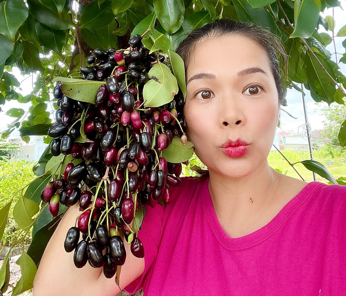 Mỹ Lệ khoe cây trâm trong vườn sai quả.