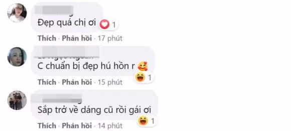 Nhiều cư dân mạng dành lời khen cho Phan Như Thảo.