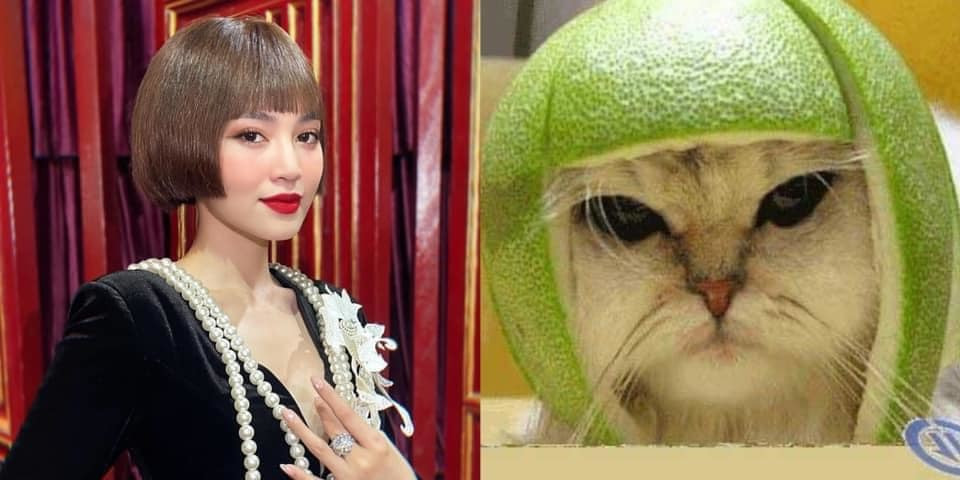 Ninh Dương Lan Ngọc so sánh hài hước kiểu tóc mới của mình như vỏ bưởi úp vào đầu con mèo.