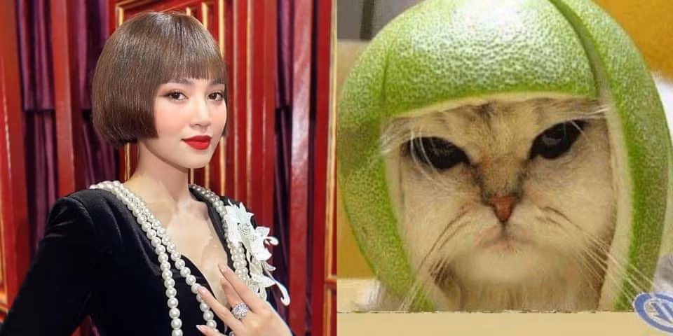 Ninh Dương Lan Ngọc so sánh hài hước kiểu tóc mới của mình như vỏ bưởi úp vào đầu con mèo.