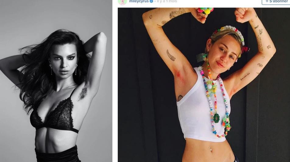 br/> Trên thực tế, việc các sao nữ Hollywood để lông vùng cánh công khai không còn là chuyện lạ. Họ cho rằng việc để lông nách là quyền tự do của mỗi người, không kể là nam hay nữ. Trào lưu này như một cách thể hiện sự tự do, cá tính của nữ giới hiện đại và rất được nhiều người nổi tiếng hưởng ứng. Dù thu hút được nhiều người tham gia song phần lớn các trào lưu làm đẹp liên quan đến vùng da dưới cánh tay cũng gặp không ít chỉ trích bởi lý do vệ sinh và thẩm mỹ.