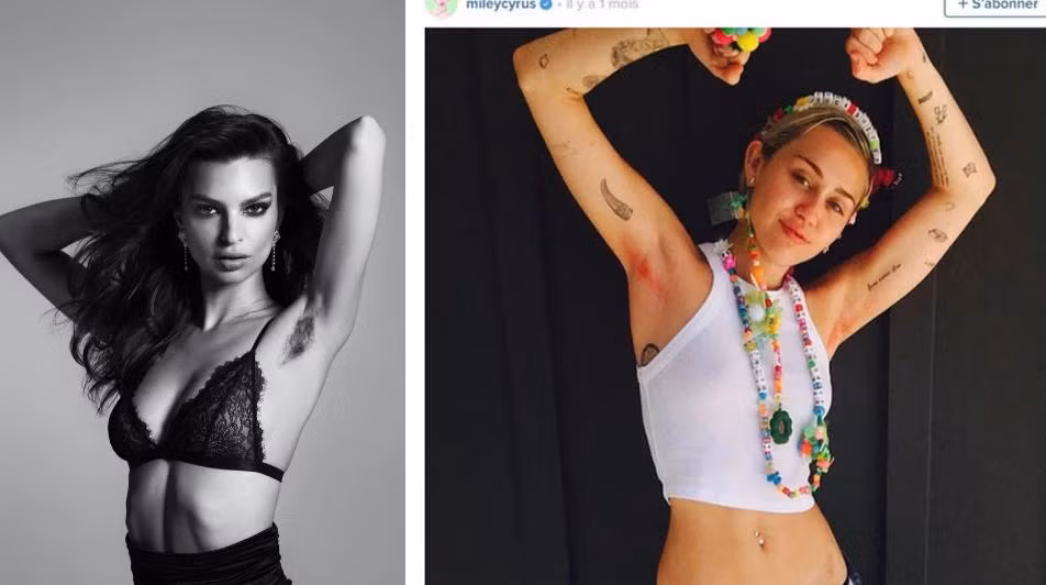 br/> Trên thực tế, việc các sao nữ Hollywood để lông vùng cánh công khai không còn là chuyện lạ. Họ cho rằng việc để lông nách là quyền tự do của mỗi người, không kể là nam hay nữ. Trào lưu này như một cách thể hiện sự tự do, cá tính của nữ giới hiện đại và rất được nhiều người nổi tiếng hưởng ứng. Dù thu hút được nhiều người tham gia song phần lớn các trào lưu làm đẹp liên quan đến vùng da dưới cánh tay cũng gặp không ít chỉ trích bởi lý do vệ sinh và thẩm mỹ.