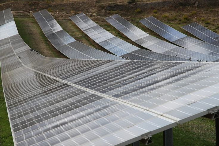 Hiện nay, các nguồn năng lượng tái tạo đang trở thành trọng tâm của thế giới, phù hợp với tầm nhìn của ông. Ảnh: Pinterest.