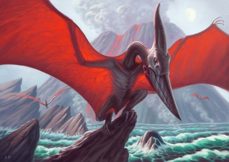  Chế độ ăn cá: Pteranodon chủ yếu ăn cá, dùng cái mỏ dài và nhọn để bắt mồi từ nước khi bay lướt qua mặt biển. Ảnh: Pinterest.