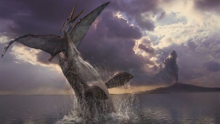  Hóa thạch phong phú: Hàng ngàn mẫu hóa thạch Pteranodon đã được tìm thấy, chủ yếu ở Bắc Mỹ, đặc biệt là Kansas, nơi từng là một vùng biển nội địa lớn. Ảnh: Pinterest.